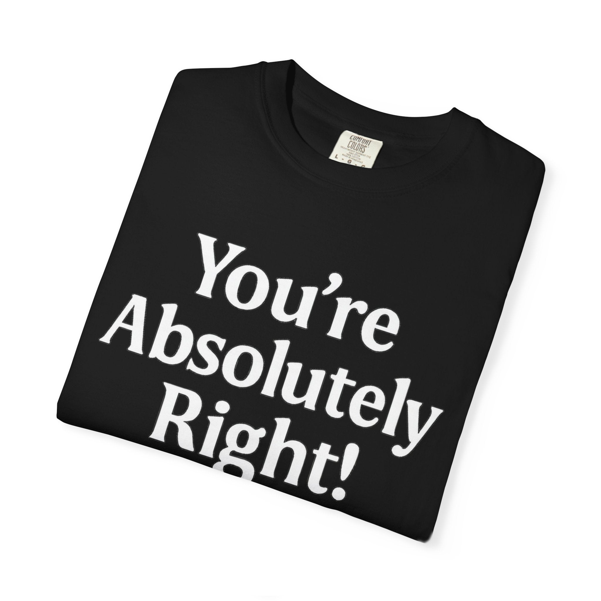You're Absolutely Right T-Shirt — Retro Starburst Graphic Tee